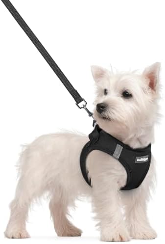 Collars