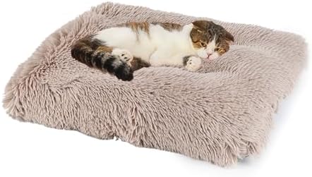 Beds & Furniture