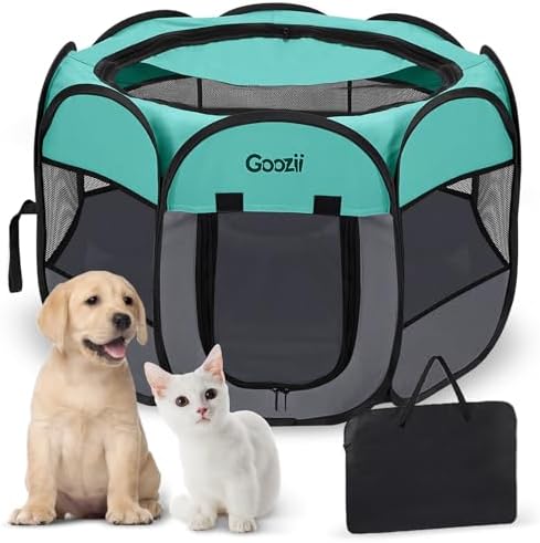 Cat Doors