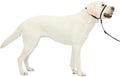 PetSafe Gentle Leader No Pull Dog Headcollar by PetSafe