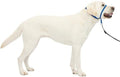 PetSafe Gentle Leader No Pull Dog Headcollar, Royal Blue by PetSafe