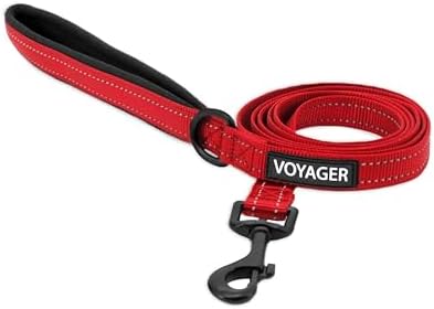 Best Pet Supplies Voyager Nylon Dog Leash - 6ft Red by BestPetSuppliesLLC