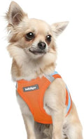 rabbitgoo Step-in Small Dog Harness, Puppy Vest by rabbitgoo