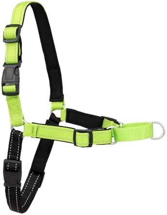 PetSafe Deluxe Easy Walk No Pull Dog Harness, Apple Green, Medium/Large by PetSafe
