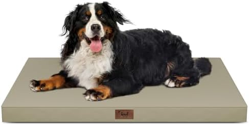 Outdoor Extra Large Dog Bed XXL by TailStories