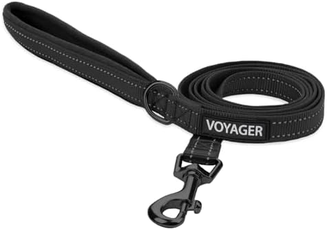 Best Pet Supplies Voyager Nylon Dog Leash - 6ft Black by BestPetSuppliesLLC