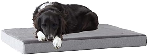 BarkBox Orthopedic Dog Bed by BARK