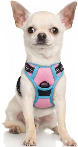 rabbitgoo Dog Harness, No Pull for Small Dogs by rabbitgoo