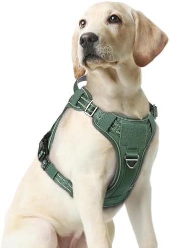 rabbitgoo Tactical Dog Harness Medium Sized, No Pull Service Pet Vest by rabbitgoo