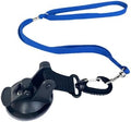 Dog Bath Tether- Industrial Strength Suction Cup, Adjustable Nylon Grooming by Unknown