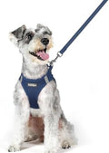 rabbitgoo Dog Harness Medium Sized and Leash Set, Step-in Puppy Pet Vest by rabbitgoo
