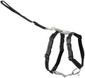 PetSafe 3 in 1 No-Pull Dog Harness by PetSafe