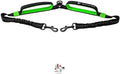 Pet Dreamland Exquisite Double Dog Coupler No Tangle Swivel by PetDreamland