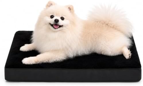 NUPIDA Waterproof Small Dog Bed by NUPIDAPet%E2%80%99sHome