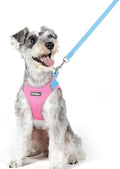 rabbitgoo Dog Harness Medium Sized and Leash Set, Step-in Puppy Pet Vest by rabbitgoo