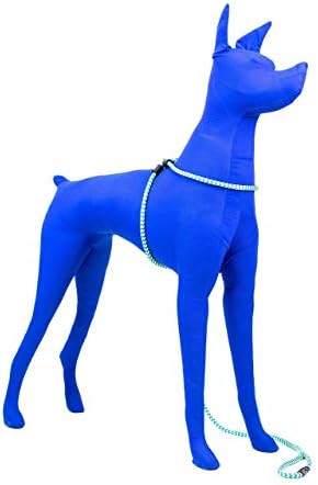 Harness Lead No Pull Dog Harness and Leash Set, Anti Pull Dog Harness, - Image 4