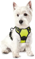 rabbitgoo Dog Harness No Pull by rabbitgoo