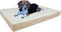 Dogbed4less Orthopedic Memory Foam Dog Bed by Dogbed4less