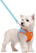 rabbitgoo Dog Harness Small Sized and Leash Set, Step-in Puppy Pet Vest by rabbitgoo