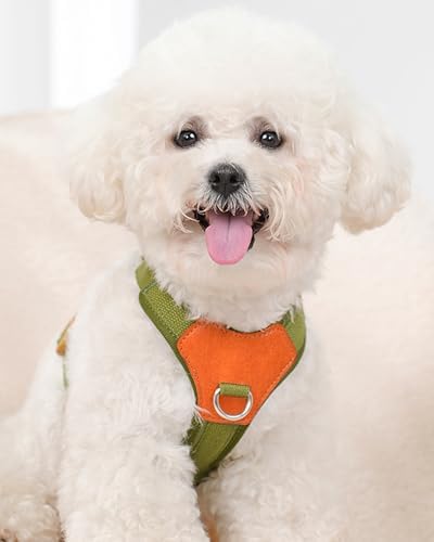 Green Small Dog Harness for Small Dogs, No Pull Dog Harness - Image 2
