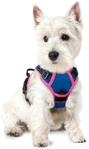 rabbitgoo Dog Harness, No Pull for Small Dogs by rabbitgoo