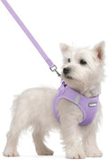 rabbitgoo Dog Harness Small Sized and Leash Set, Step-in Puppy Pet Vest by rabbitgoo