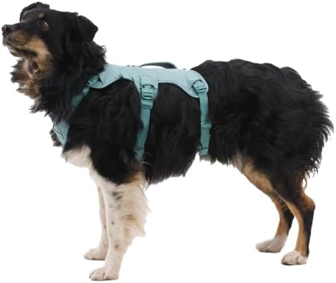 Ruffwear, Web Master Dog Body Harness, River Rock Green - Image 4