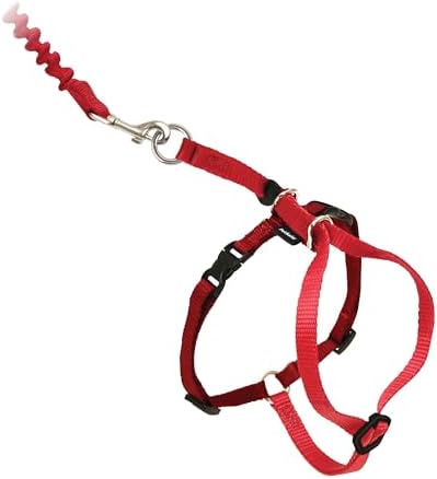 PetSafe Come With Me Kitty Harness and Bungee Leash, Harness by PetSafe