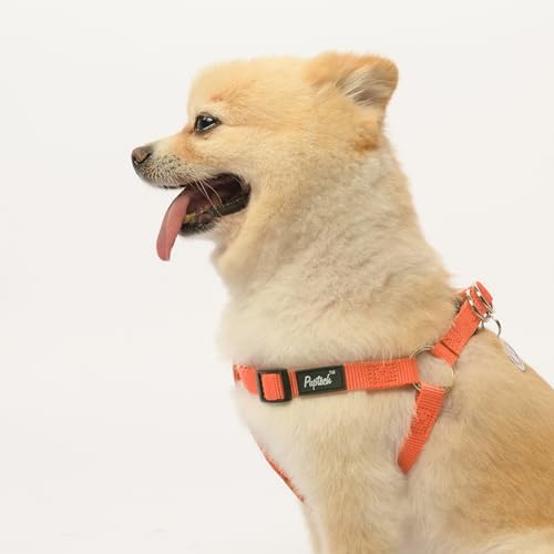 PUPTECK No Pull Dog Harness Small Sized Step-in Adjustable Puppy Vest - Image 5