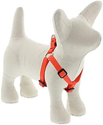 Small Adjustable Step in Dog Harness by Lupine 1/2" Wide Blaze Orange by LupinePet