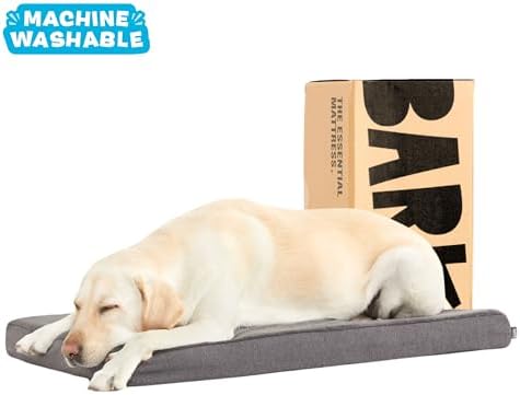 BarkBox Orthopedic Dog Bed - Image 5