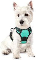 rabbitgoo Dog Harness, No Pull for Small Dogs by rabbitgoo