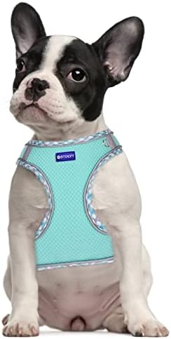 Step in Mesh Dog Harness and Leash Set Breathable Air Mesh Harness - Image 7