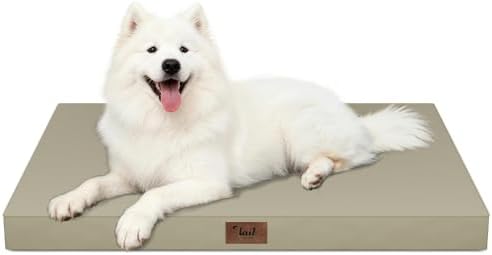 Large Waterproof Orthopedic Dog Bed by TailStories