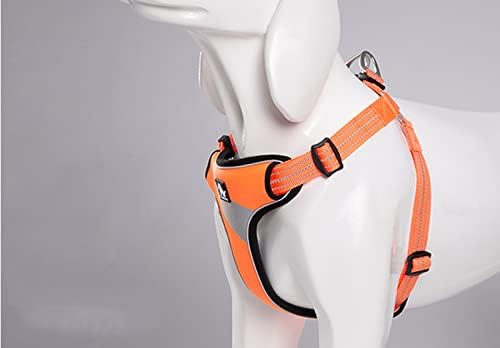 TRUE LOVE Step-in Dog Harness, Reflective, Breathable - Image 5