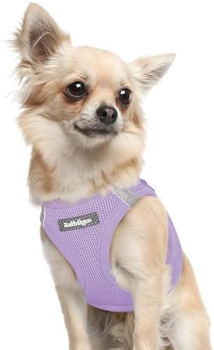 rabbitgoo Step-in Small Dog Harness, Puppy Vest by rabbitgoo