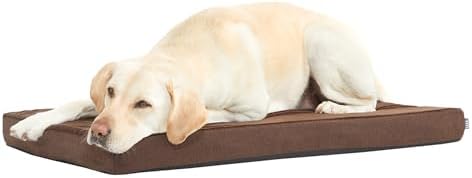 BarkBox Orthopedic Dog Bed by BARK