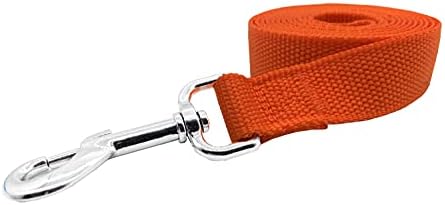 Nylon Dog Training Leash, Traction Rope, 4/5/6 Feet Long, 3/4 Inch 1 Inch Wide - Image 2