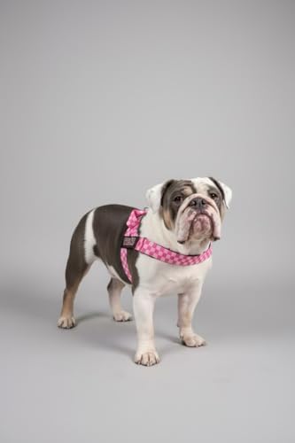 BULLHUG Adjustable Dog Harness– No Pull, No Choke – - Image 5