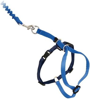 PetSafe Come with Me Kitty Harness and Bungee Cat Leash, Royal Blue by PetSafe