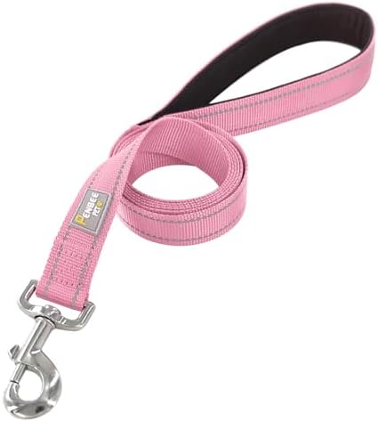 6 FT Basic Dog Leash for Large Dogs - Image 2