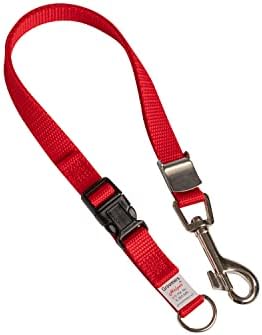 Groomers Helper® 5/8" Professional Safety Loop by GroomersHelper
