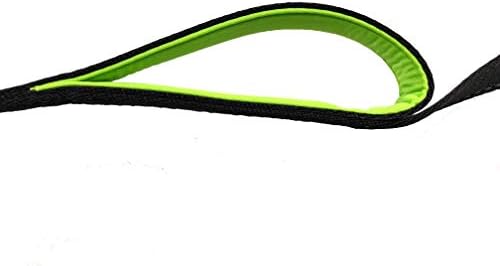 Primal Pet Gear Dog Leash 6ft Long, Traffic Padded Two Handle, Heavy Duty - Image 6