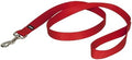 PetSafe Nylon Dog Leash by PetSafe