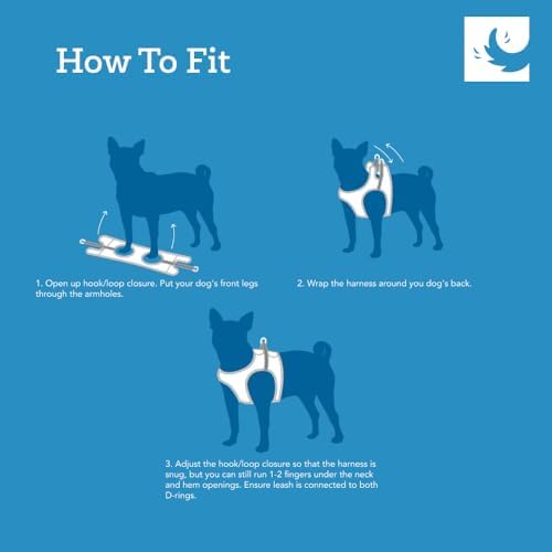 RC Pets Step in Cirque Harness L Dark Teal - Image 4