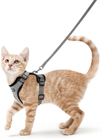 rabbitgoo Cat Harness and Leash Set, Escape Proof Vest by rabbitgoo