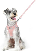 rabbitgoo Dog Harness Medium Sized and Leash Set, Step-in Puppy Pet Vest by rabbitgoo