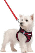 rabbitgoo Dog Harness Small Sized and Leash Set, Step-in Puppy Pet Vest by rabbitgoo