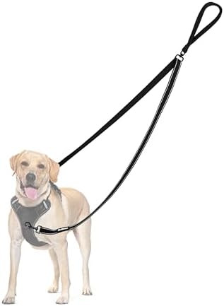 PetBonus Two Point Control Dog Leash, No Tangle Training Walking Leashes by Petbonus
