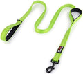Primal Pet Gear Dog Leash 6ft Long, Traffic Padded Two Handle, Heavy Duty by PrimalPetGear
